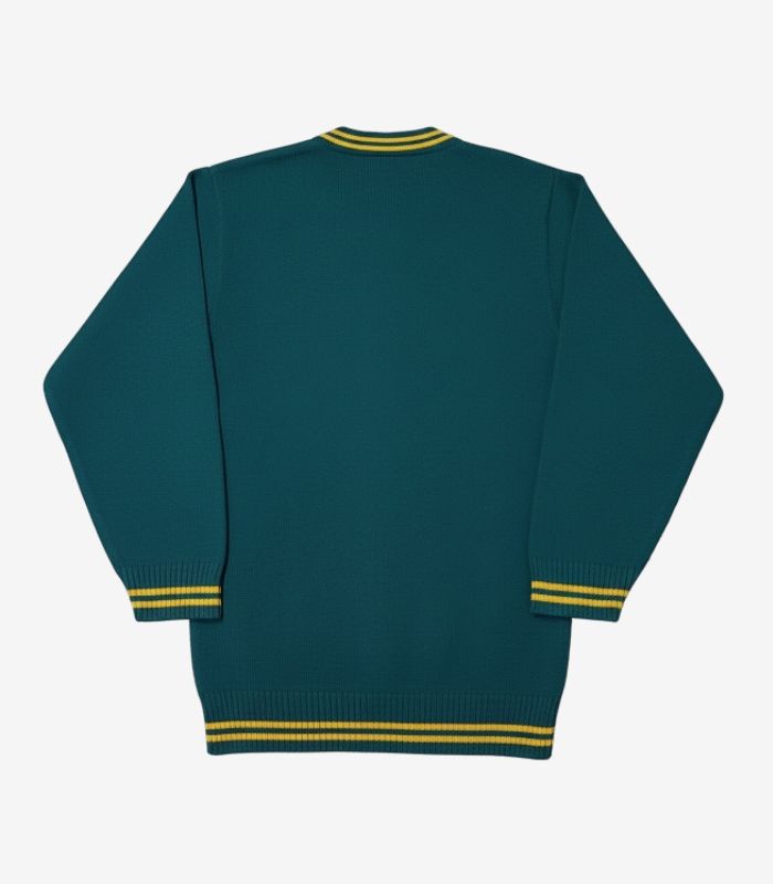 Army Public School & Colleges Jersey