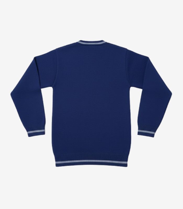Ozone School Jersey