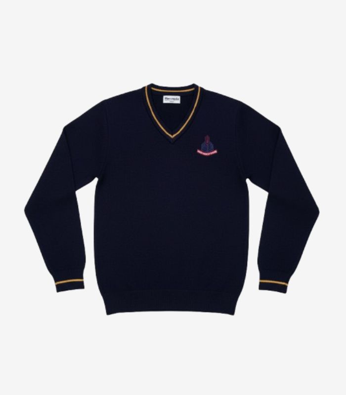 Punjab Group of Colleges Jersey